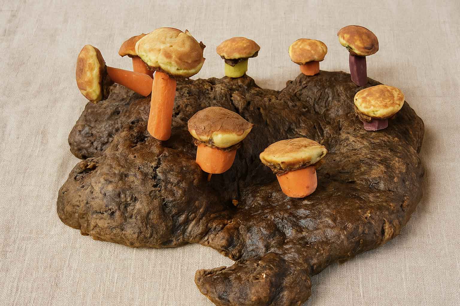 Sollinger Waldküche, 2025