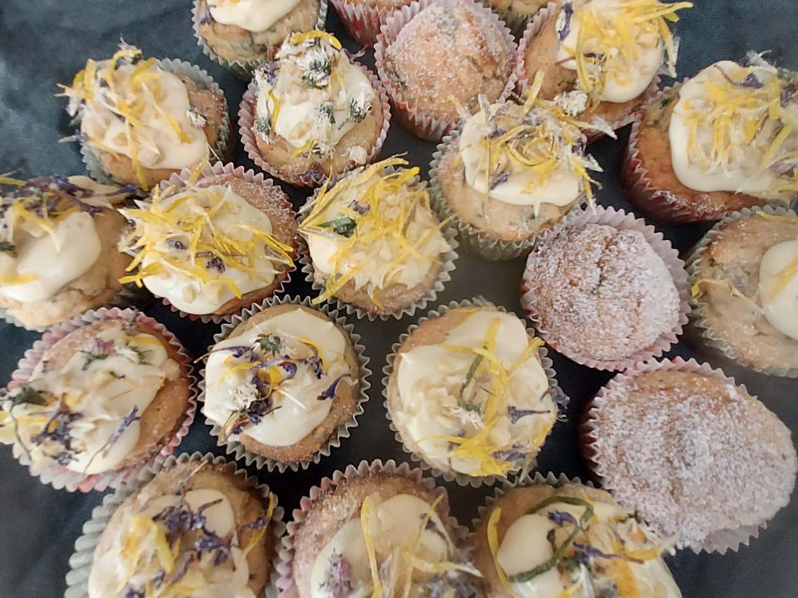 Sollinger Waldküche, 2025